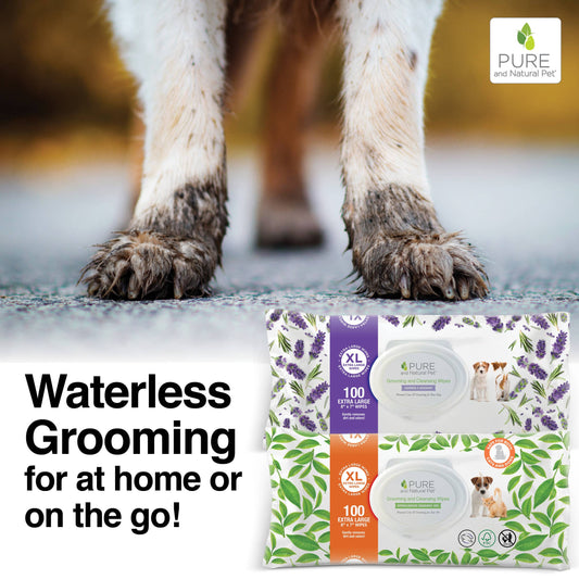 Muddy dog paws beside Pure and Natural Pet XL grooming wipes for quick post-walk cleanup.