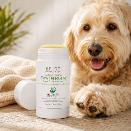 USDA Certified Organic Paw Rescue balm for dry dog paws and noses shown beside a cream Goldendoodle.